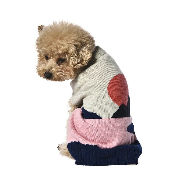 Свитер для собак FOXIE Scenery S (длина спины 30см, обхват груди 38-45см) разноцветный