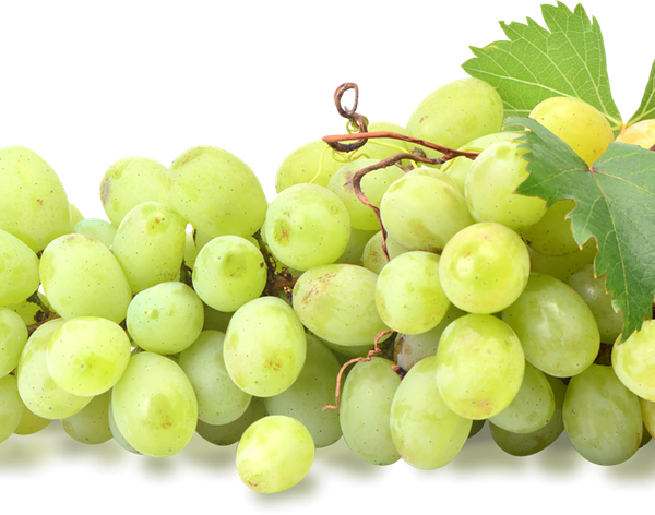 Виноград  Киш-миш зеленый вес до 500г