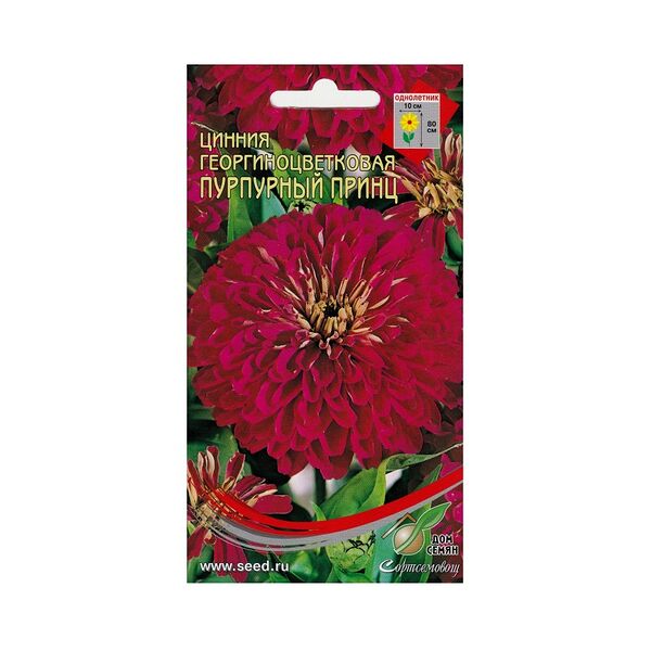 Семена Цинния Пурпурный принц