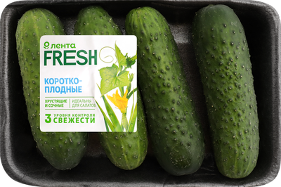 Огурцы короткоплодные Лента Fresh колючие 450 г