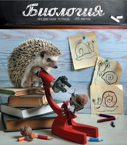 

Тетрадь ПЗБМ