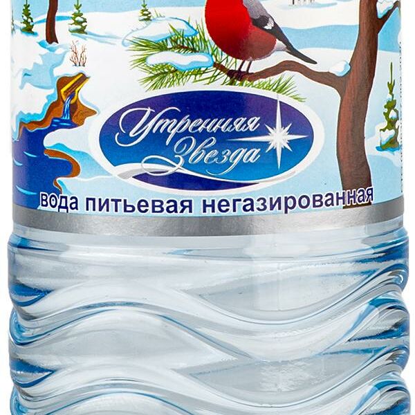 Вода питьевая Утренняя Звезда негазированная 500мл