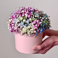 Изображение 3