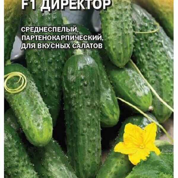 Семена Огурец Директор F1, 5 шт ТМ Гавриш