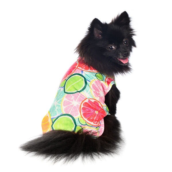 Футболка для собак Rurri с фруктами XS мятный (унисекс)