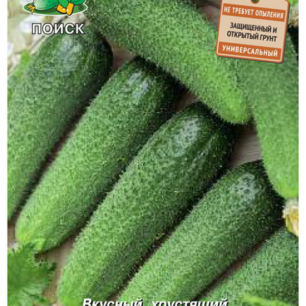 Семена ПОИСК Авторские сорта и гибриды, Огурец Клавдия Агро F1