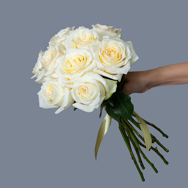 Монобукет 9 пионовидных Роз Candlelight под ленту