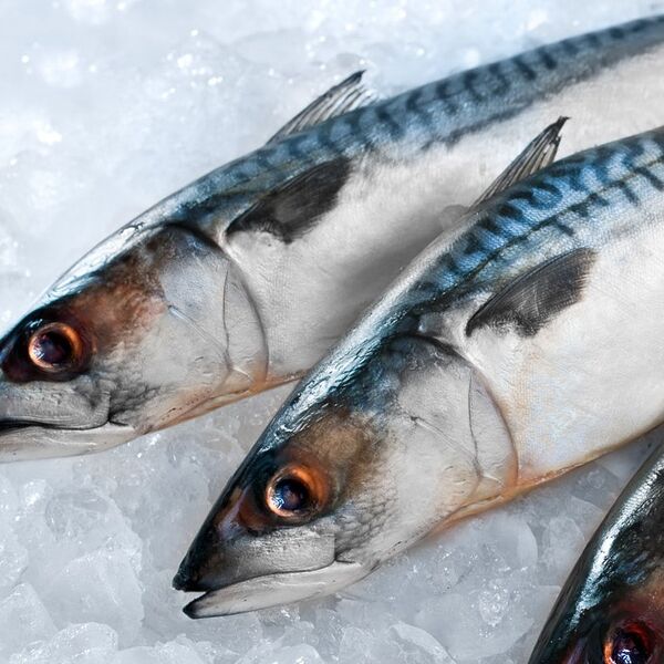 Скумбрия замороженная