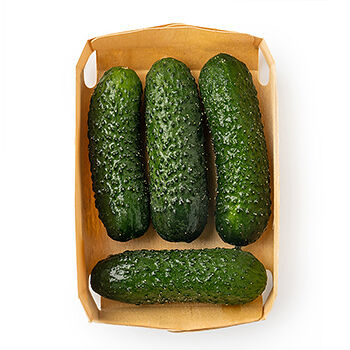 Огурцы короткоплодные