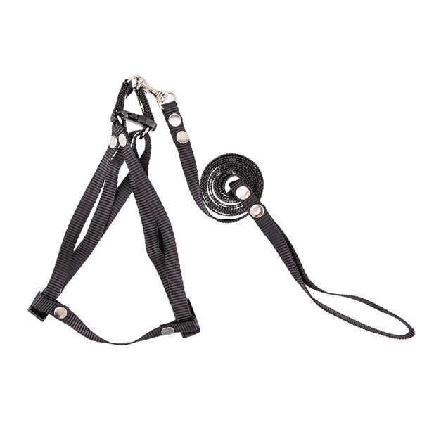 Шлейка+поводок для кошек и малых собак быстросъемная нейлон черный