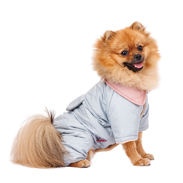 Комбинезон для собак Petmax, XL, голубой