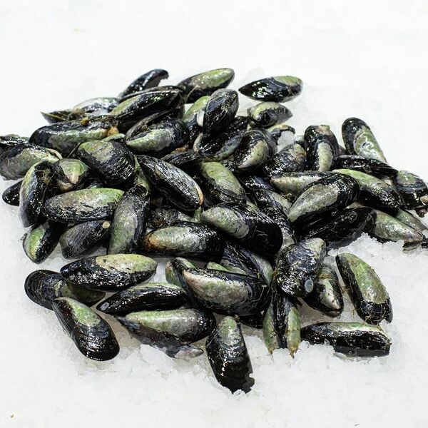 Мидии черные в раковинах охлажденные