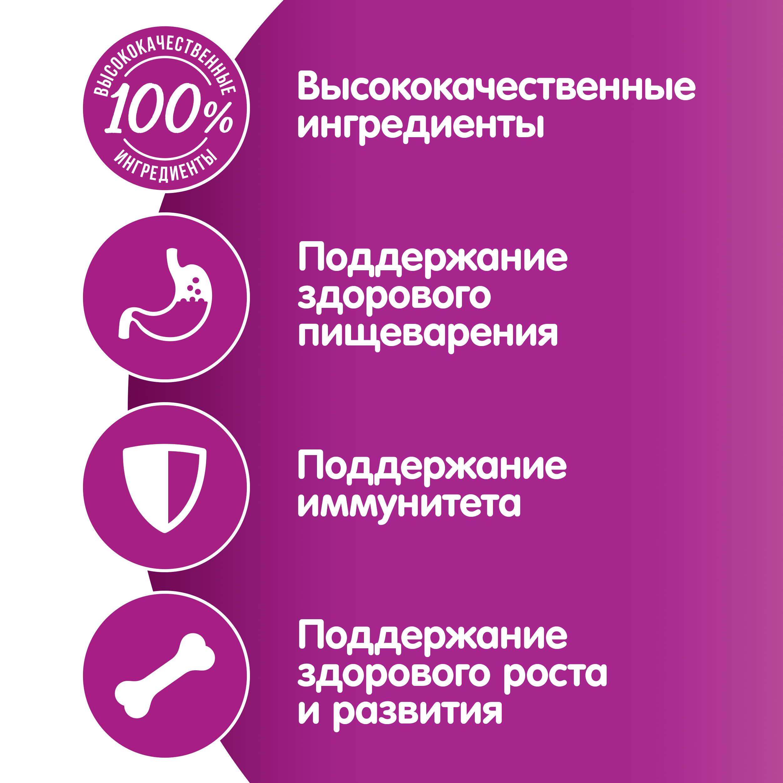 

Влажный корм Whiskas Для котят паштет с курицей 75 г