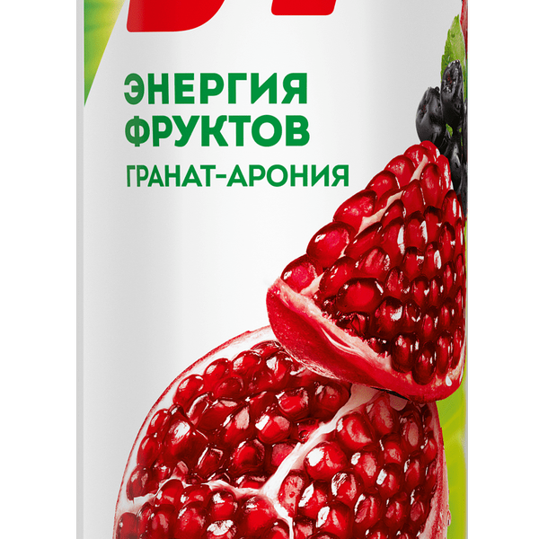 Нектар J7 Гранат-черноплодная рябина