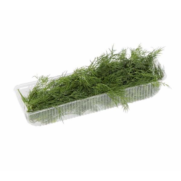 Укроп  100гр пакет