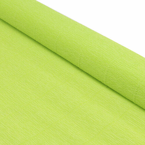 87500345 Бумага гофрированная простая, 50см*2,5м 180гр 558 салатовая