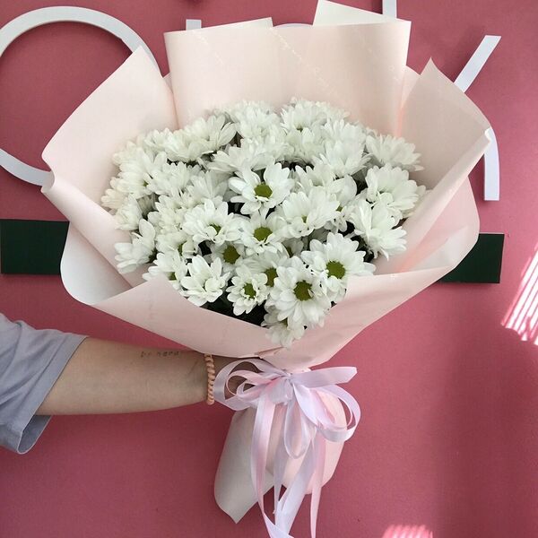 Ромашковое облако