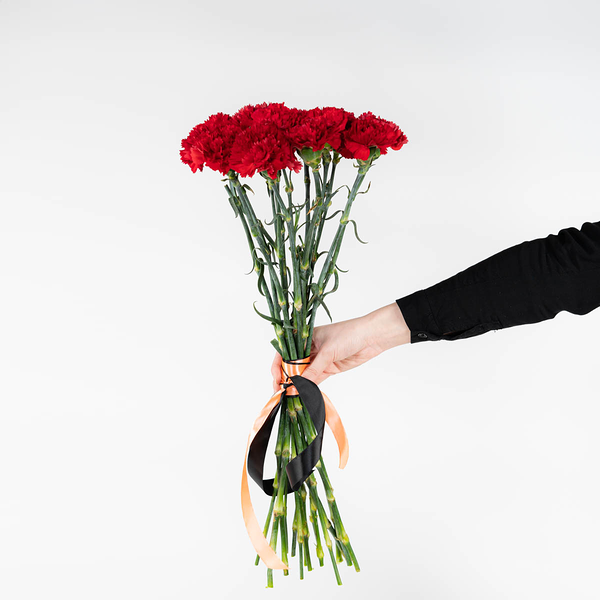 9 красных гвоздик