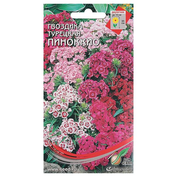 Семена Гвоздика турецкая карликовая Пиноккио