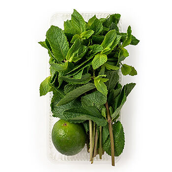 Зелень свежая: Набор для мохито (Мята, Лайм) Просто Азбука