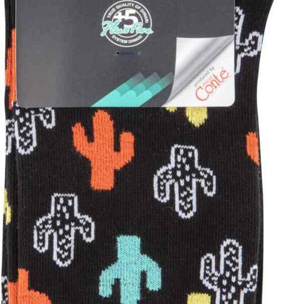 Носки мужские Diwari Happy 17С-151СП цвет: чёрный, рисунок: кактусы, размер 27 (42-43)