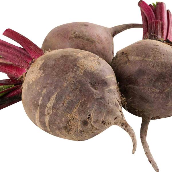 Свёкла молодая