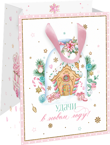 

Пакет подарочный Sweet 14х19х9 см, Арт. SNT в ассортименте 1 шт.