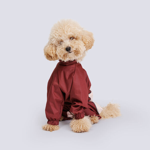 Дождевик Пудель карликовый девочка пудра