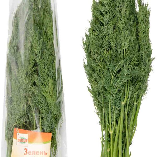 Укроп свежий Глобус