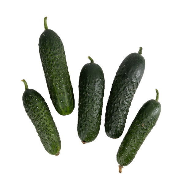 Огурцы Миринда кг