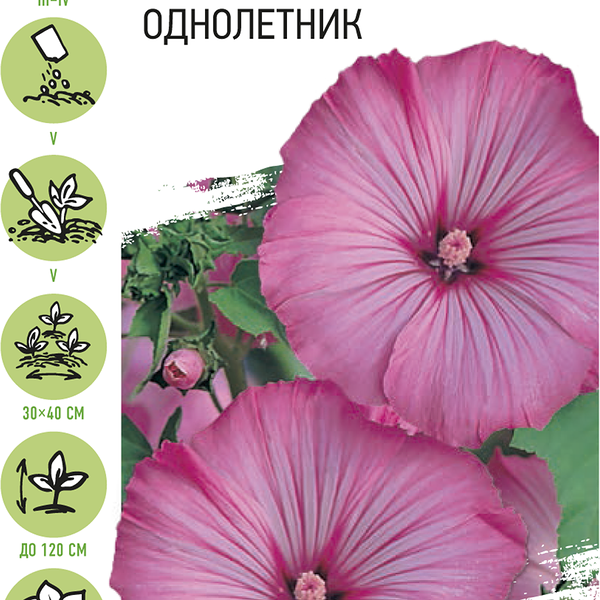 Семена УДАЧНЫЕ СЕМЕНА Лаватера Лунный свет, 0,5г