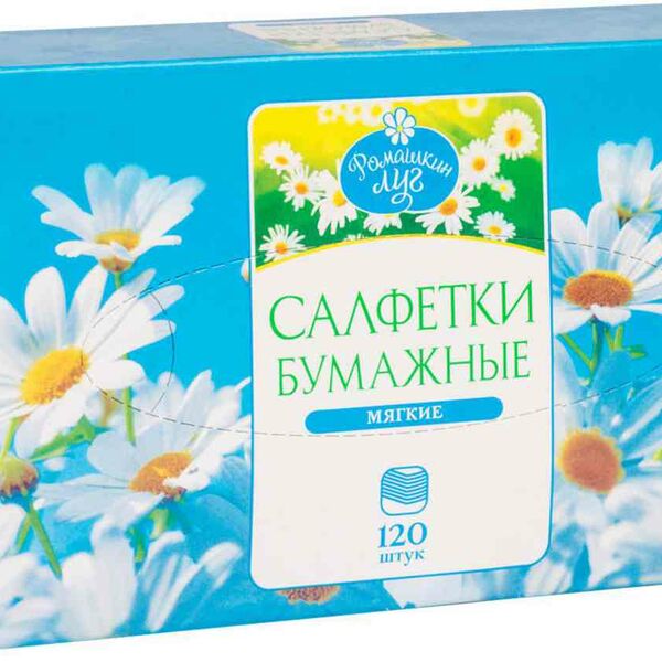 Салфетки бумажные Ромашкин луг в коробке 2 слоя, 120 шт.