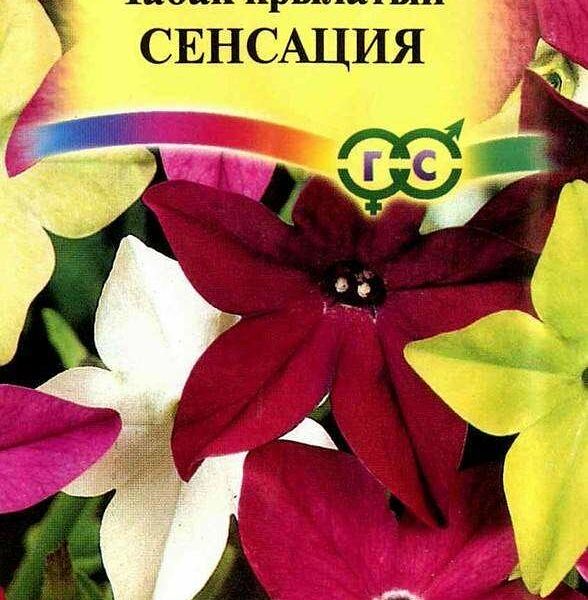 Семена Табак Сенсация ТМ Гавриш