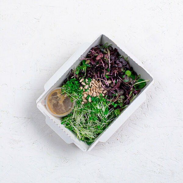 Салат из микрозелени Botanica №2 60г