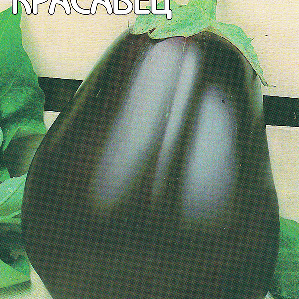 Семена ДОМ СЕМЯН Баклажан Черный красавец