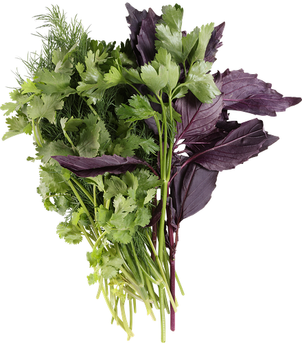 Зелень укроп/петрушка/кинза/базилик Green vitamin