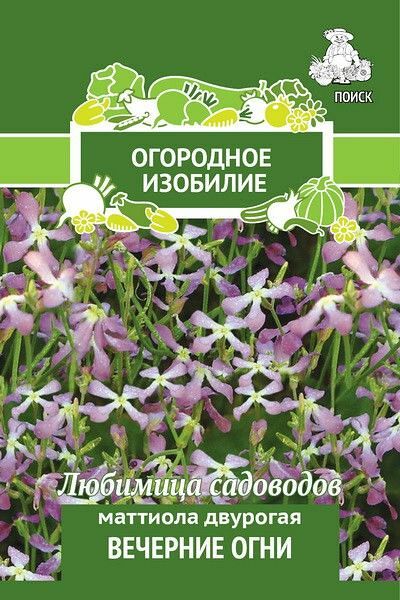 Семена Маттиола двурогая Вечерние огни фиолетовый