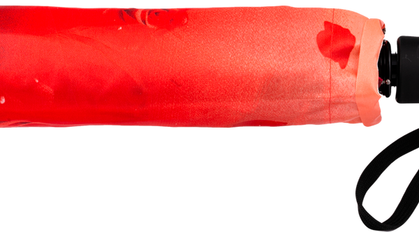 Зонт автоматический женский RAINDROPS 56см 8 спиц с принтом, прямая ручка, Арт. RD-22814