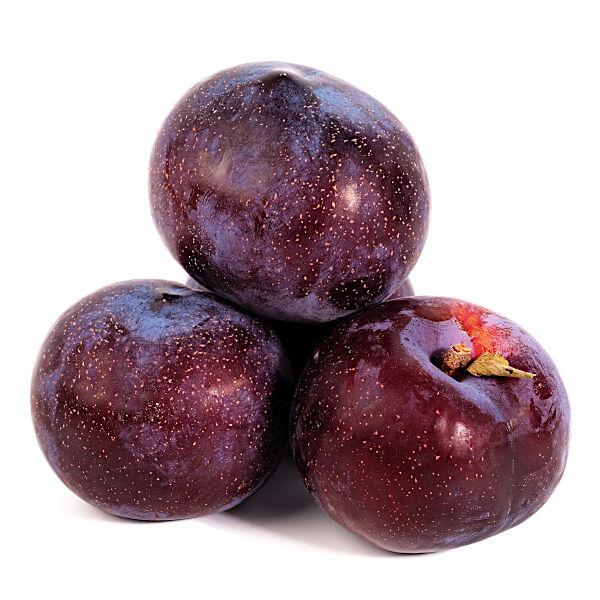 Слива черная