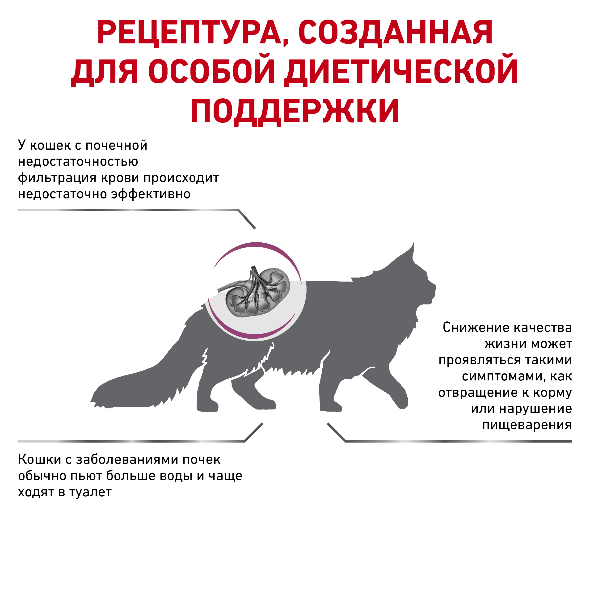 

Корм Royal Canin Renal для кошек при хронической почечной недостаточности, диетический, 2кг