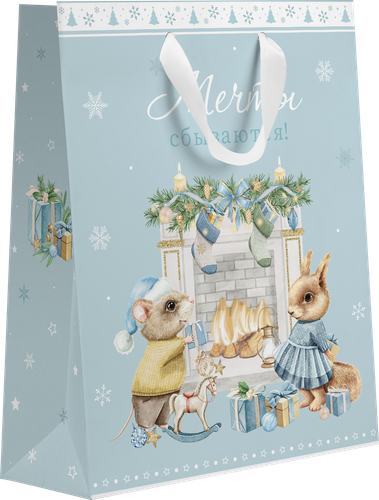 

Пакет подарочный Сказочные друзья, 14х19х9см, Арт. SNP