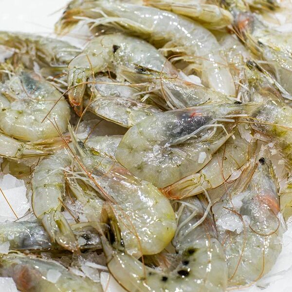 Креветка дальневосточная охлажденная