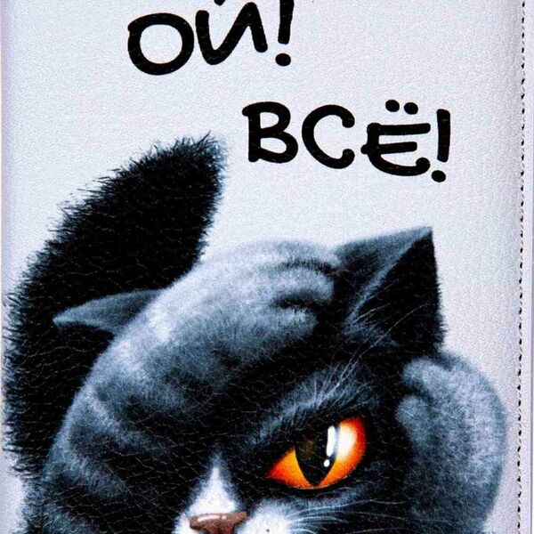 Обложка для паспорта deVENTE 1030111 5 отделений дизайн в ассортименте, 10×14 см