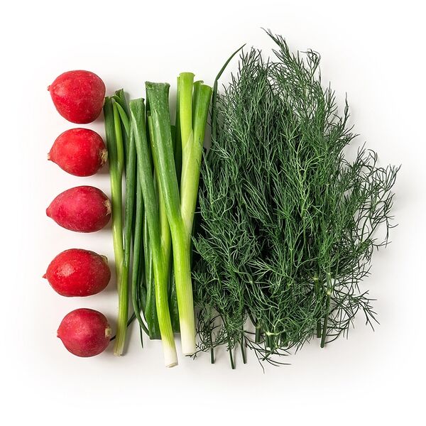 Зелень свежая: Набор для окрошки (Лук, укроп, редис)