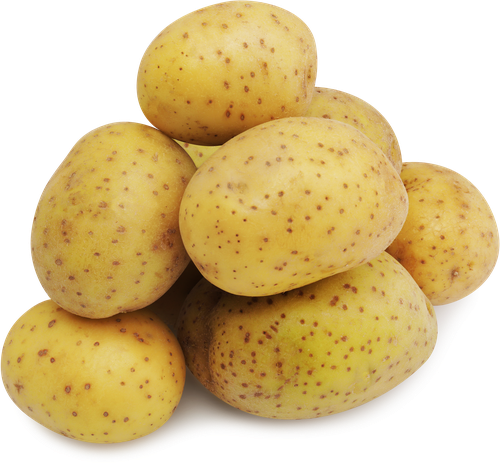 

Картофель ЛЕНТА FRESH для варки фас вес до 3.0кг