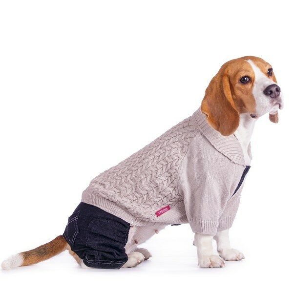 Свитер со штанами Petmax для собак 36см XL серый (унисекс)