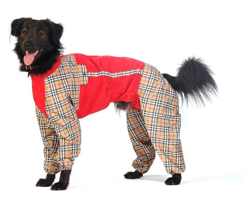 Комбинезон холодный для собак Вест хайленд уайт терьер L (мальчик)