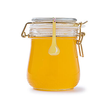 Мед Пчельник цветочный 620г бугель, Россия