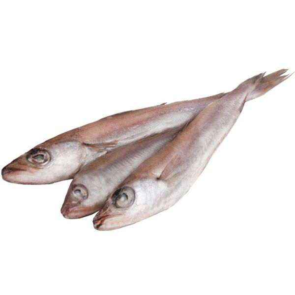 Путассу замороженная