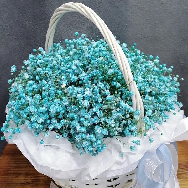 Гипсофила в корзине №2